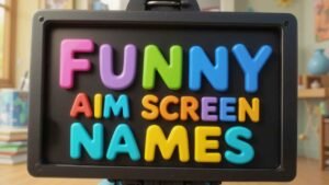 funny aim screen names