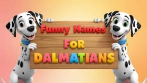 funny names for dalmatians