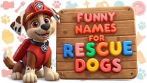 funny names for rescue dogs