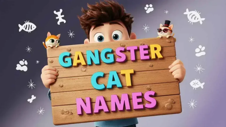 gangster cat names